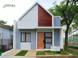 RUMAH DIJUAL SERPONG NATURA CITY CLUSTER RIVERSIDE