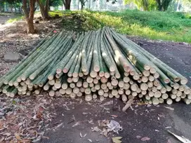 Jual bambu 8/9 dan triplek MC