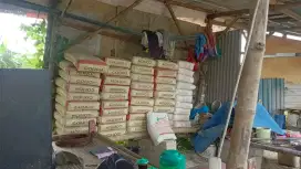 Semen Conch 40 kg PCC SNI buat proyek