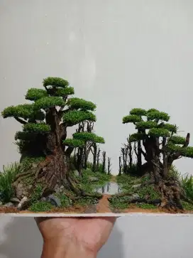 Hiasan bonsai untuk akuarium aquarium aquascape