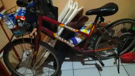 Sepedah polygon sentana