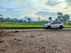 Nyaman Hunian, Tanah Jogja View Sawah