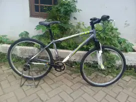 Sepeda Polygon murah