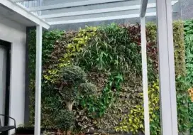 Tanaman Vertical Garden Dinding Hidup