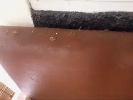 Kursi sopa  bekas