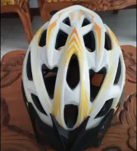 Helm sepeda aleoca
