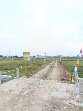Tanah Kavling Dekat PT Jia Wei Di Desa Padakaton Ketanggungan Brebes