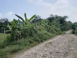 Di Jual Lahan Kosong,Cocok Untuk Rumah Kebun Atau Ternak