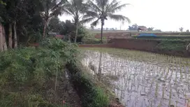 Di Jual Lahan Darat&Sawah , Cocok Untuk Villa