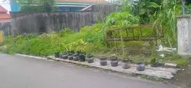 Tanah murah strategis Maguwoharjo dekat kampus Sanata Darma & INSTIPER