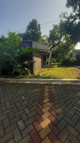 Tanah Banyumanik Durian Dekat UNDIP Tembalang