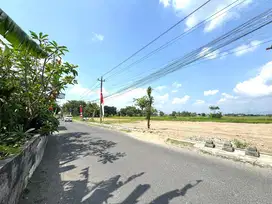 Jual Murah Tanah Sleman Tepi Jalan Aspal Lebar