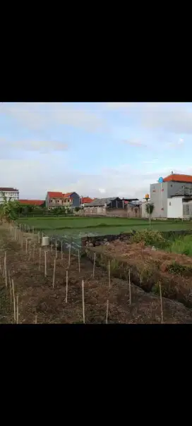 Dijual tanah 2,4 are di jalan tukad badung renon denpasar bali