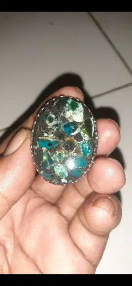 Bacan kura jumbo