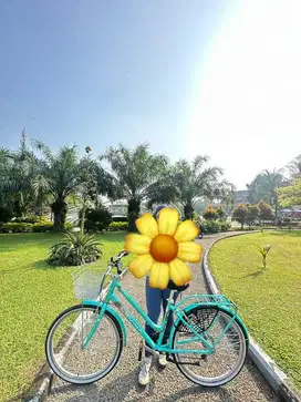 Sepeda Polygon Lovina SA 26