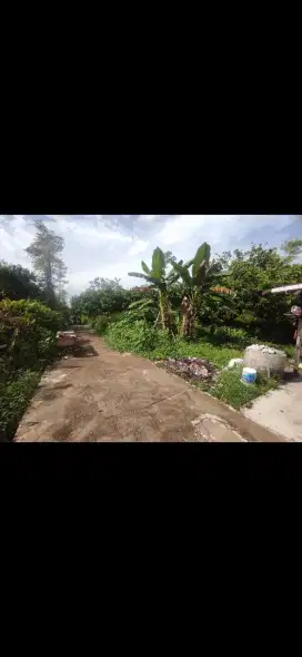 Tanah kavling purnama 2 ukuran 20 x 100