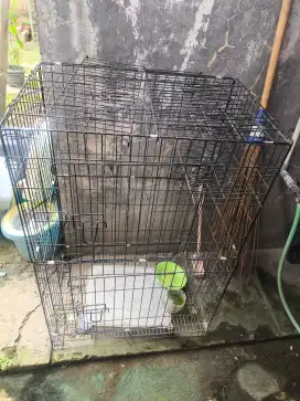 Kandang kucing dan sejenisnya