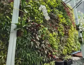 Tanaman Vertical Garden Nuansa Alam Hijau