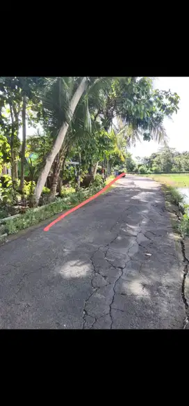 JUAL TANAH DI TEMON KULONPROGO VIEW SAWAH