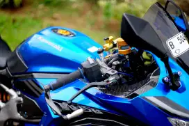 Kawasaki ZX-25R