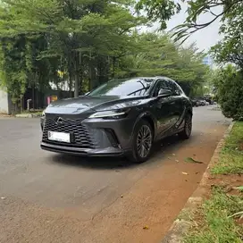2023 Lexus RX450h Luxury Hybrid PHEV AWD ATPM KM 6000 Antik