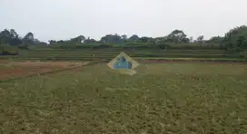 Jual Tanah kawasan Modern Cikande dekat Tol Cikande Serang Banten