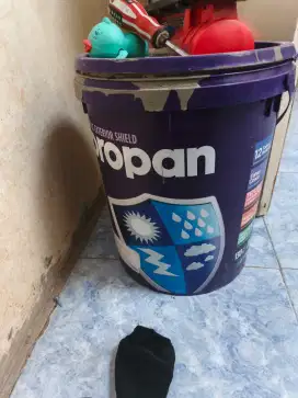 Cat tembok Propan warna abu