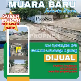 SUPER MURAH DI BWH NJOP!Dijual lahan di Muara Baru,JakUt 10.220m2 SHGB