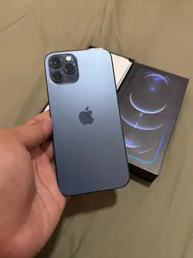 Iphone 12 Pro 256gb Blue