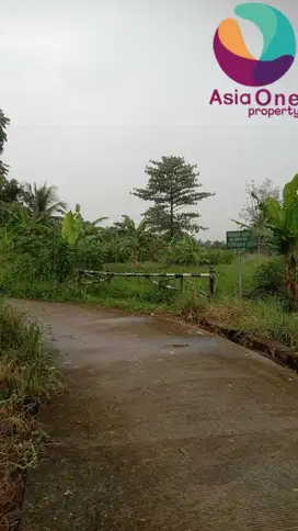 Di Jual Tanah Cocok Untuk Cluster Di Gunung Sindur Bogor