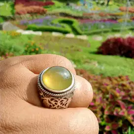 Bio Solar Origin Aceh