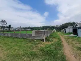 Promo tanah kedungrejo malang, mulai 90 jutaan