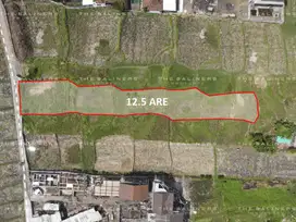 COASTAL CHARM: A CAPTIVATING RESIDENTIAL LAND IN SESEH