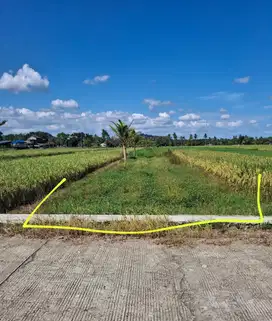 Dijual Sawah Murah di Gedongan Godean Sleman