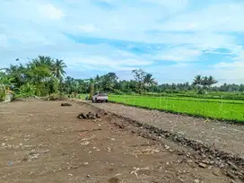 Nyaman Untuk Hunian, Tanah Tepi Sawah Di Jalan Palagan Sleman