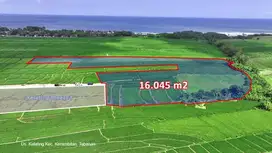 Tanah view laut dan sawah di Tabanan, Boleh 500m2