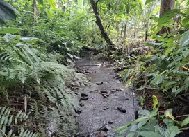 Dijual tanah kebun di area villa dan desa wisata