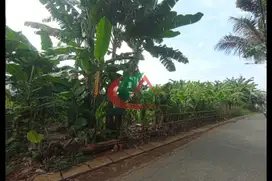 Dijual Tanah di Belakang Komplek Raffles Hills Harjamukti Cibubur Nego