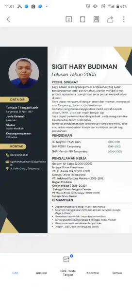 Driver Profesional