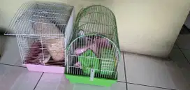 Kandang hamster gratis