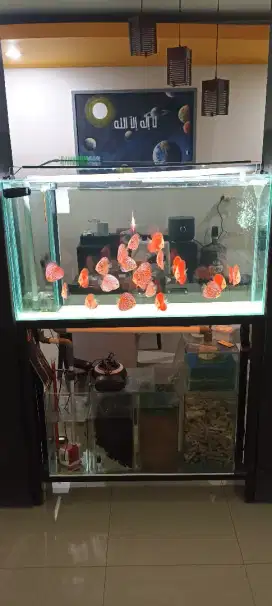 Aquarium fullset sump filter