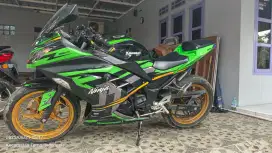 Kawasaki Ninja 250