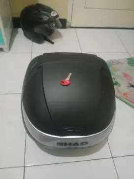 box motor fazzio merk shad