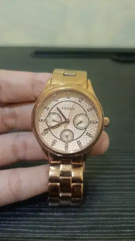 Fossil modern sophisticate