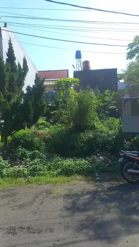 DIJUAL KAPLING MURAH KALIJATI ANTAPANI BANDUNG TIMUR