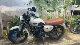 w175 2021 no minus full orian