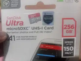 Microsd sandisk 256GB original Astrindo