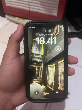 iphone 11 all operator