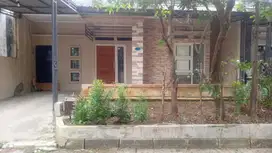 Di Sewakan Rumah Siap Huni