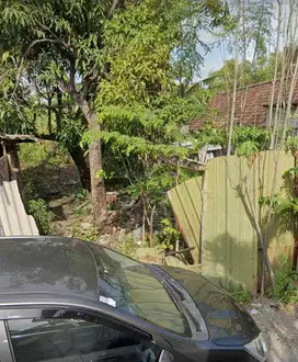 Jual Cepat Tanah Kosong Murah di Siwalankerto Selatan - Surabaya